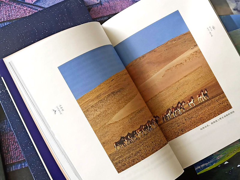 圖書(shū)出版物——山知道